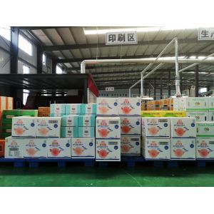 Corrugated Paper Packing Box From Stone Paper