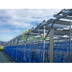 Best 6000mm Agricultural Greenhouses Photovoltaic Mounting System Farm Shed wholesale