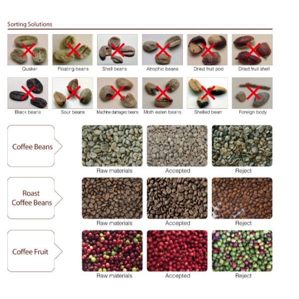 96 Channels Coffee Bean Color Sorter Industrial With CCD Camera
