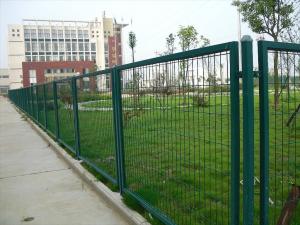 Best wire mesh fence,garden fence,custom galvanized and PVC coated garden fencing wholesale