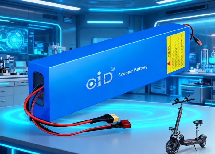36V 12Ah Long-Range Lithium-Ion Battery Pack for Electric Scooters with BMS