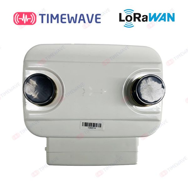 LoRaWAN Smart Gas Meter Secure Gas Consumption Meter Lithium Battery
