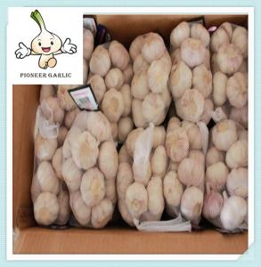 China Organic one bulb garlic, fresh one clove garlic, Pearl Garlic wholesale on sale
