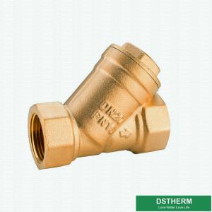 China Customized Heavier Type DN15 Brass Y Type Strainer Check Valve With Ss Net on sale