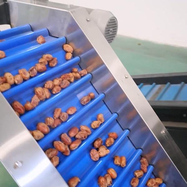 Cheap Precision Elevating Date Quality Assurance With Advanced Dates Sorting Machine for sale