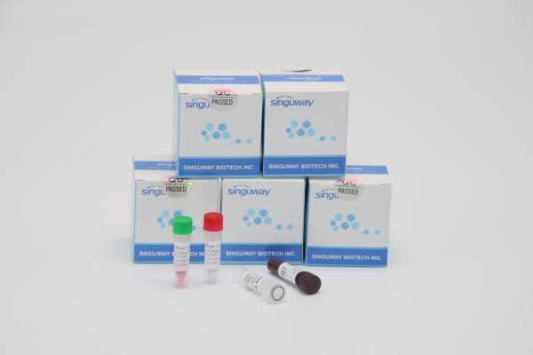 Cheap Ultrafast Thalassemia Virus RT PCR Testing Kit Lab Using TB PCR Kit for sale