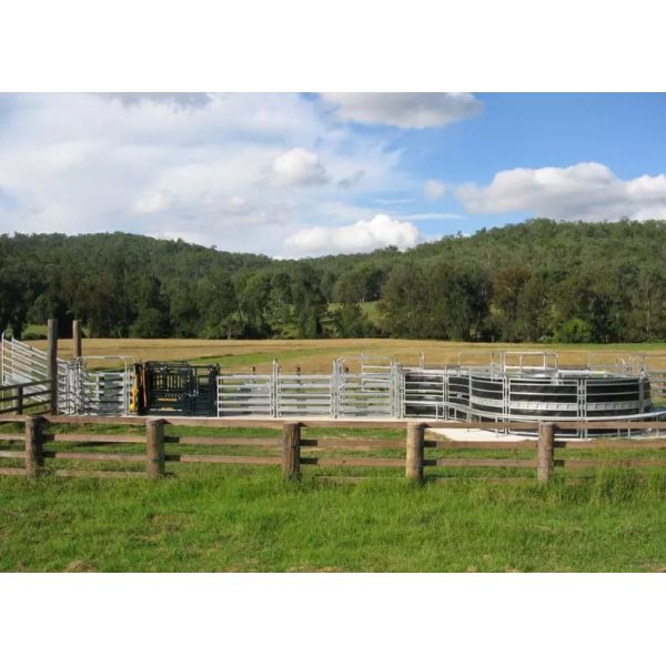Cattle Yard 6 Rails 42*115mm Galvanize Corral Panel Fence
