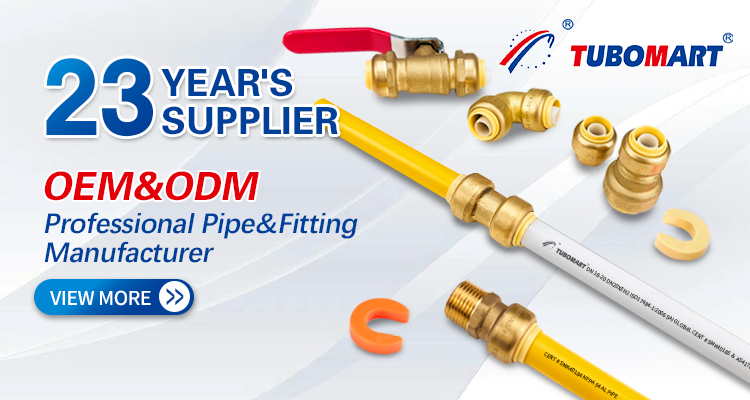 CE Certified Push in Fittings Plumbing for PEX AL PEX Copper PVC PIPE Water Supply USA CANADA Market