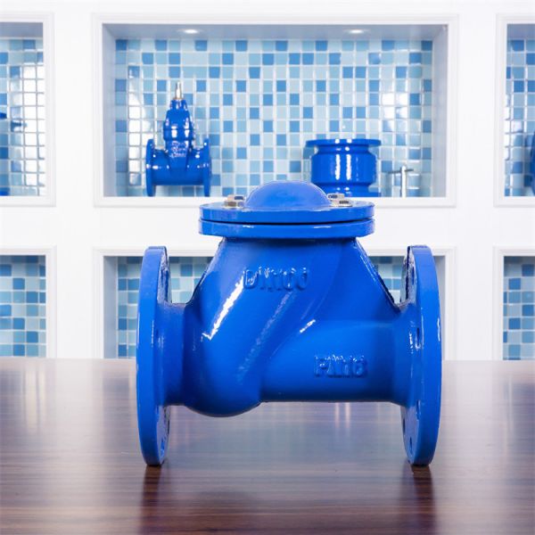 Pn16 Nodular Cast Iron Check Valve DN300 Pn10 Water Saving Silent Check Valve