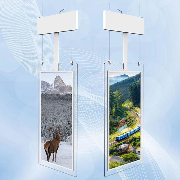 Commercial Transparent OLED Touch Screen Standalone Clear OLED