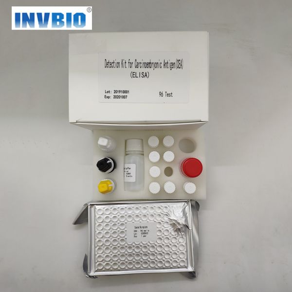 Human Free Thyroxine Ft4 Elisa Test Kit Easy To Use