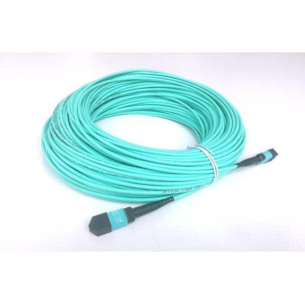 12fo 24fo MM OM3 OM4 50/125 MPO MTP Optical Fibre Patch Cable