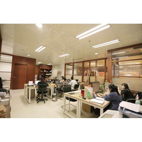 Professional Carbon Steel Hex Socket Thread Wood Nut Thread Inserts DIN Standard Cadmium Plated for Automotive Industry