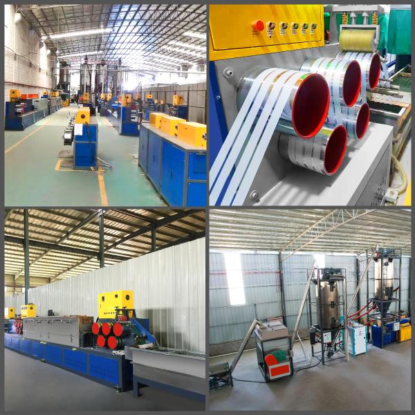 Cheap High-Precision PET Strap Making Machine with Easy Maintenance for sale