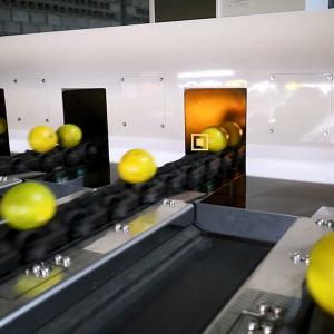 Best Orange Sorting Machine With Internal Detection Beyond General Grading Sizing And Weighing wholesale