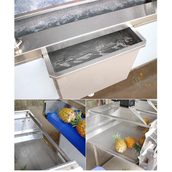 vegetable wash line pineapple juice processing line Pineapple bubble washing and vibrating air-drying line fruit processing machinery pineapple