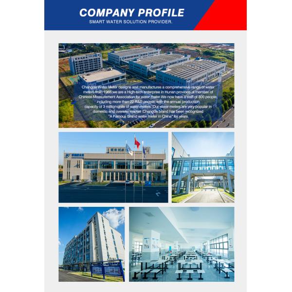 NB-IoT Wireless Remote Reading Water Meter with Customized Local SIM Card and Band Frequency Water Meter