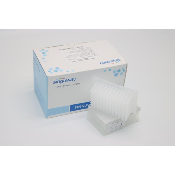 Singuway Clinical Nucleic Acid Extraction Kit Reagent 16 Test / Box