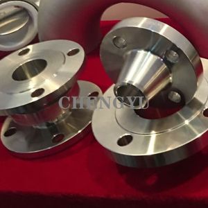 Shipbuilding Anti Rust Varnish Stainless Steel Pipe Flange SS304 ASTM A420