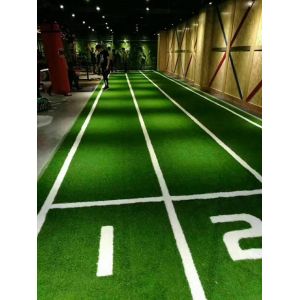 Best Custom Gym Artificial Turf Environmentally Friendly Artificial Grass wholesale