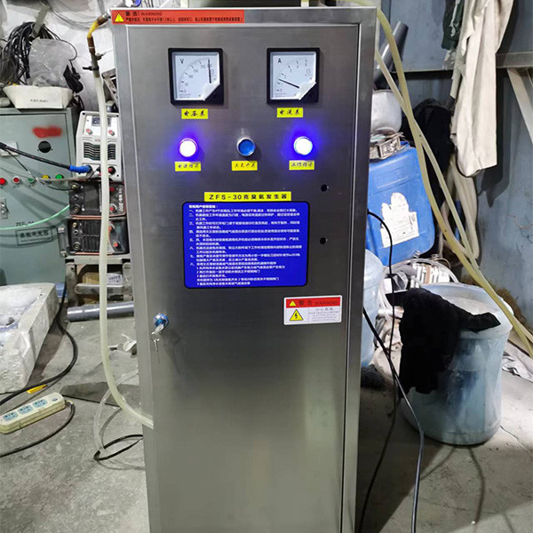 30g High Performance Ozone Sterilization System Environment Friendly