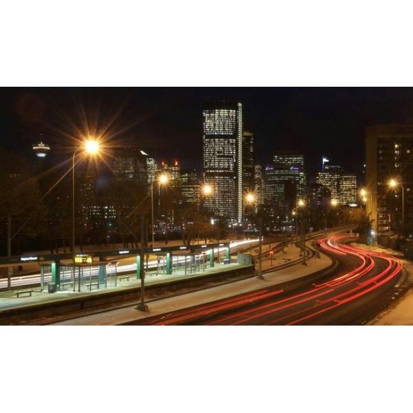 Street Light US Bridgelux 2700K 100W Floodlight COB Chip