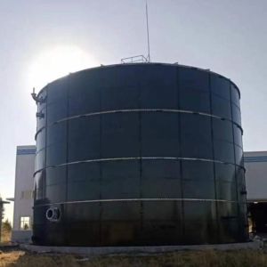 Best IC UASB Gobar Gas Plant Project Methane Digester Tank Movable wholesale