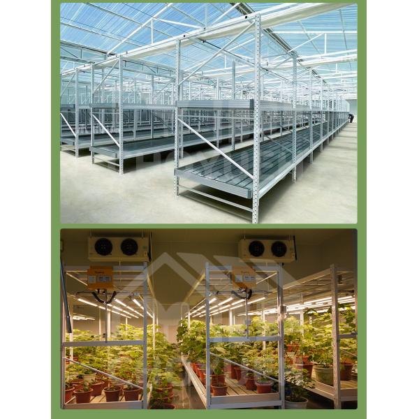 Customized Vertical Farming Seedling Bed Medical Plants Vertical Mobile Grow Racks