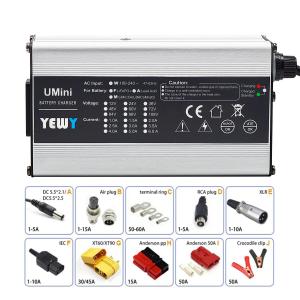 China Sweeper 12V 6A Battery Charger Power 120W Charger Lithium Ion on sale