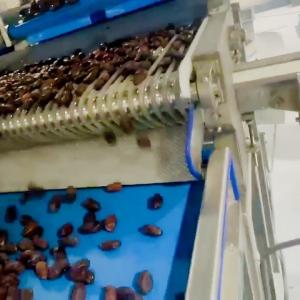 Best Smart Date Sorting Machine Combining AI Deep Learning Food-Grade Construction Intelligent Multi-Mode Large Capacity Output wholesale