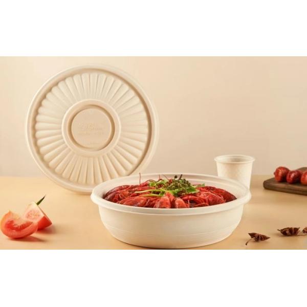 Plates Disposable Sugarcane Bagasse Tableware Making Machine