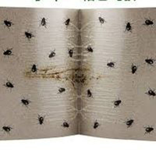 Automatic Feed Rat Glue Trap Making Machine With PLC Control Hot Melt