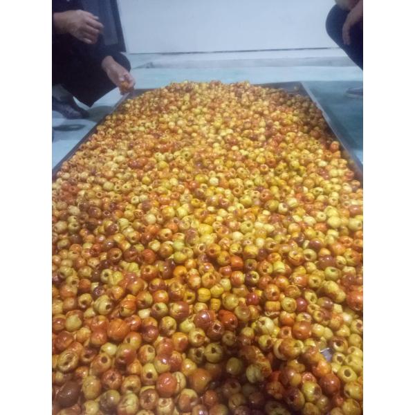 SS 304 Vacuum Automatic Snacks Frying Machine For Fruit Vegetable Chips Making