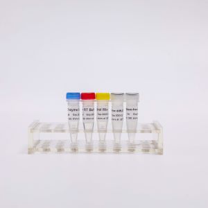 Best 100 Rxns RT PCR Mix wholesale