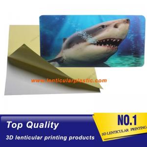 Best Good Quality Wholesale Custom Offset Printing Plastic PET Lenticular 3D Photo Card Flip 3D Lenticular Promotion Cards wholesale