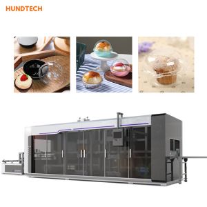 Best Automatic disposable box making machine biodegradable thermoforming machine wholesale