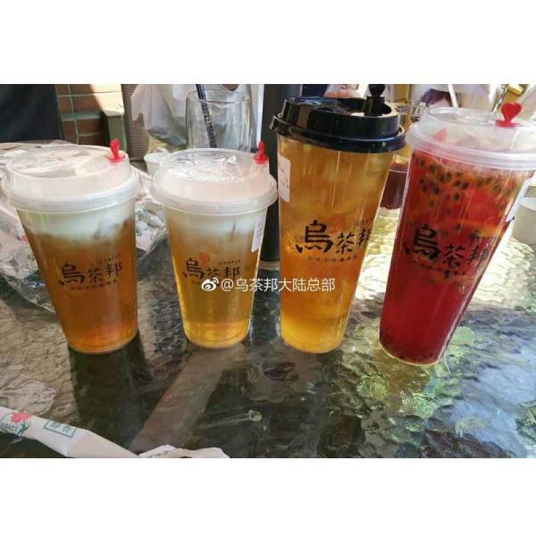 Pp Material Water Disposable Plastic Cups FDA / BSCI Certification