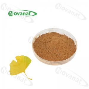Best 100% Nature Gingko Biloba Leaf Extract Powder/USP/E.P/CP15/Dietary Supplements Ingredients wholesale