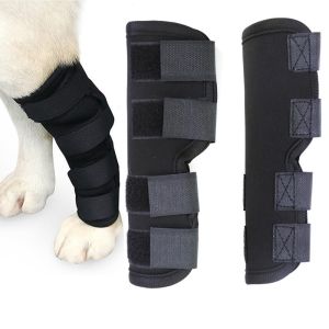 Best Pet Knee Pad wholesale