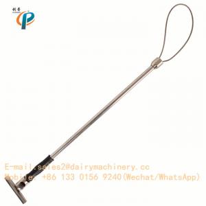China Stainless Steel Pig Holder Dairy Machinery Appliance Pig Farm Hog Catcher 65cm Length on sale