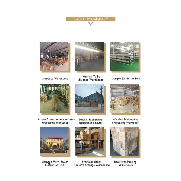 SS Manual Centrifuge Dadant Honey Extractor With 3 Frames