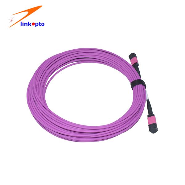 Cheap High Speed Ethernet 12 cores MPO MTP Patch Cord MM OM4 Duplex Multi Mode Fiber 5 Meters for sale