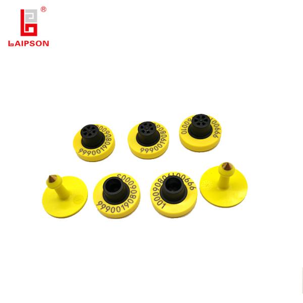 Cheap 25mm FDX-B HDX Swine Boar Sow Sheep Cattle Tracking Ear Tags With Reusable Function for sale