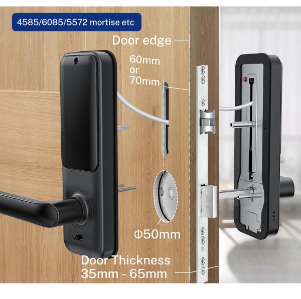 Cheap ROSH Electronic Deadbolt Lock Wifi Keyless Remote Control Replaceable Cylinder for sale
