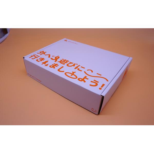 FSC Pizza Sustainable Shipping Boxes , Mailer Box With 400g C1S Material CMYK PMS Printing