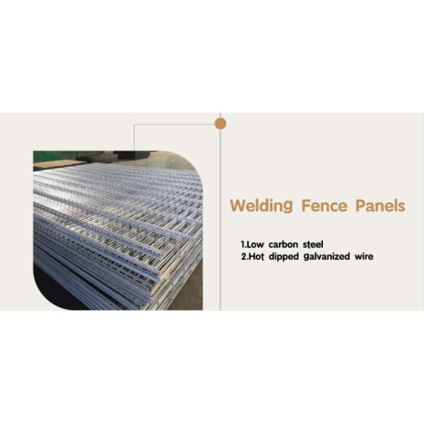 Rot Proof Welded Wire Mesh Fencing
