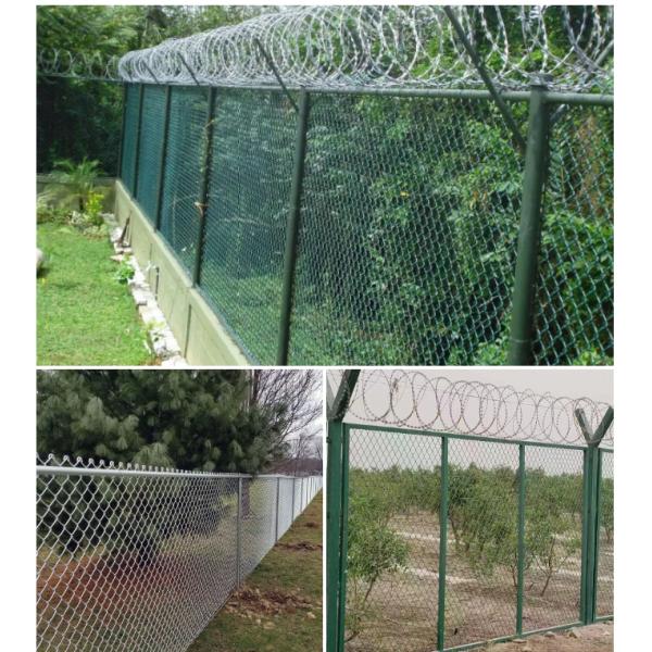 Wholesale High Quality 100ft 8ft 8 Foot 6 Wire Mesh Green Pvc Coated Chain Link Fence Roll / Green Chain Link Fence