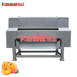 Best Peach Stone Removing Machine Double Channel Fruit Beating Machine wholesale