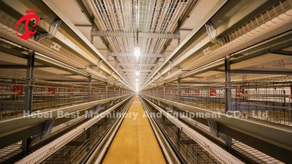 Turnkey Project Automatic Poultry Battery Cage System 3 Tiers 450cm2 Star