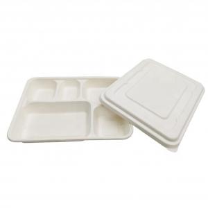 Best Biodegradable Food Box White Color Food Grade Sugarcane Pulp Material Non Pollution wholesale